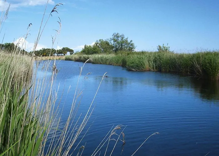 In Near Sandy Apartment Ghisonaccia