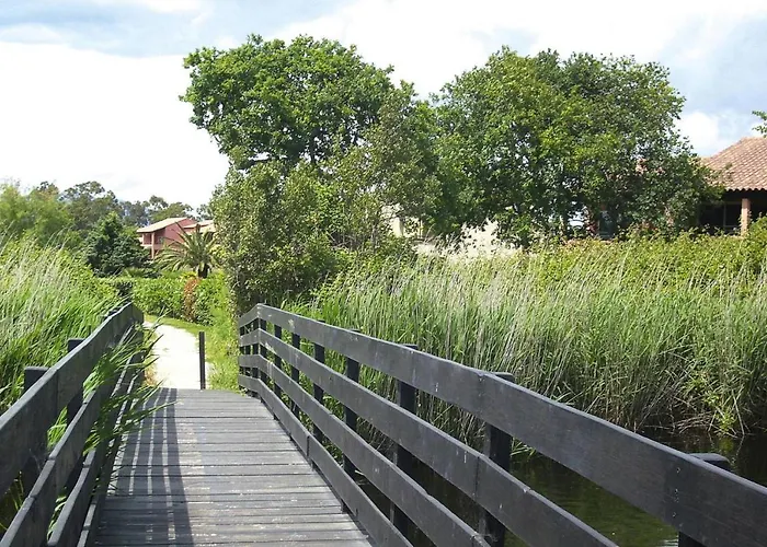 Apartment In Near Sandy