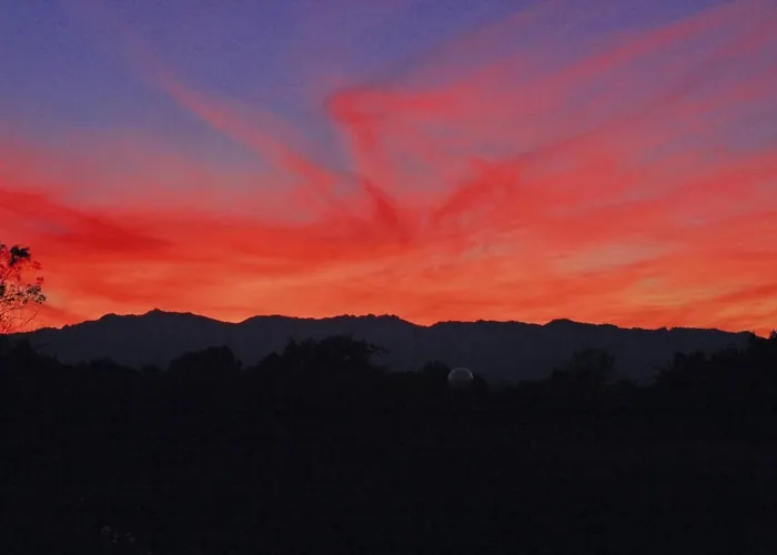 In Near Sandy Apartment