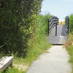 In Near Sandy