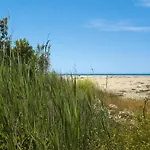 Apartment In Near Sandy Ghisonaccia