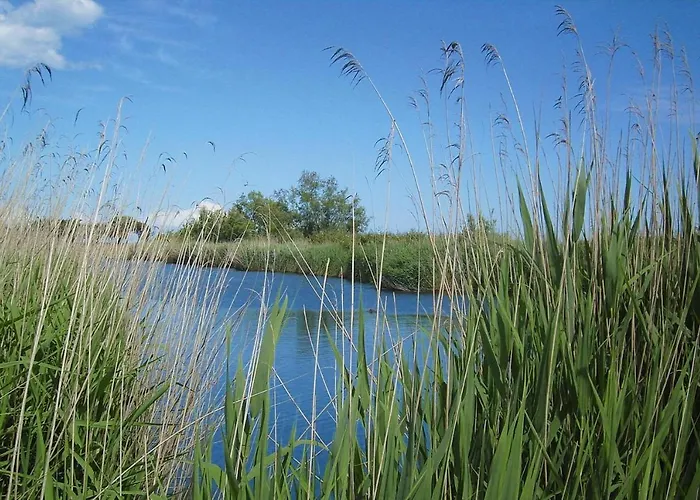 In Near Sandy Apartman